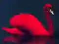 Love Birds Puzzle Love Birds Puzzle