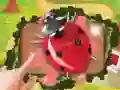 Bugs Bang Bugs Bang
