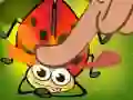 Insect Cush Insect Cush