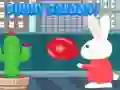 Bunny Baloonny Bunny Baloonny