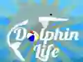 Dolphin Life
