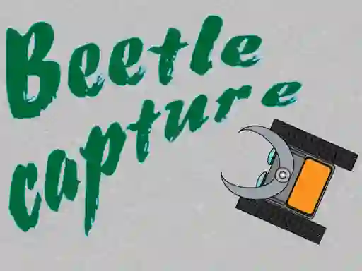 Beetle Capture — 無料オンラインゲーム