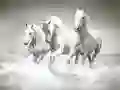 Horses Puzzle Horses Puzzle