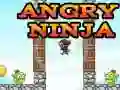Angry Ninja Angry Ninja