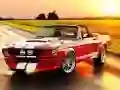 Fancy Mustang Differences Fancy Mustang Differences