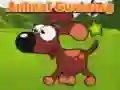 Animal Guessing Animal Guessing