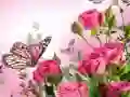 Butterflies Puzzle Butterflies Puzzle