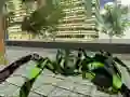 Robot Spider Transport Robot Spider Transport