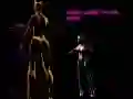 Lizard Lady Vs The Cats Lizard Lady Vs The Cats