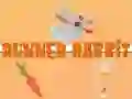 Runner Rabbit Runner Rabbit