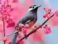 Lovable Birds Lovable Birds