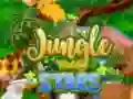 Jungle Hidden Stars Jungle Hidden Stars