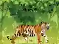 Angry Tiger Coloring Angry Tiger Coloring