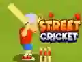 Street Cricket Street Cricket