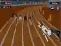 Crazyl Dog Racing Fever Crazyl Dog Racing Fever
