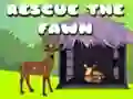 Rescue the fawn Rescue the fawn