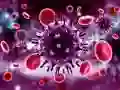 Coronavirus Puzzle Coronavirus Puzzle