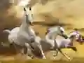 Running Horse Slide Running Horse Slide