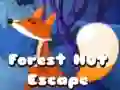 Forest hut escape Forest hut escape