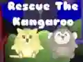 Rescue the kangaroo Rescue the kangaroo