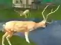 Deer Hunting Sniper Shooting