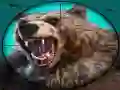 Wild Bear Hunting Wild Bear Hunting