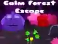 Calm Forest Escape Calm Forest Escape