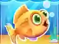 Aquarium Farm Aquarium Farm