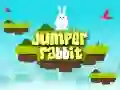 Jumper Rabbit Jumper Rabbit