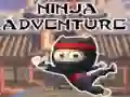 Ninja Adventure Ninja Adventure