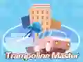 Trampoline master Trampoline master