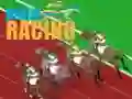 Derby Racing