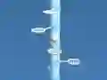 Egg Helix Egg Helix