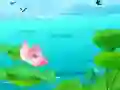 Lotus Flowers Slide