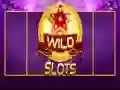 Wild Slot Wild Slot