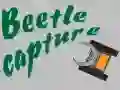 Beetle Capture Beetle Capture
