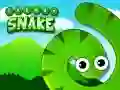 Frenzy Snake Frenzy Snake