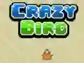 Crazy Bird Crazy Bird