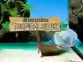 Hidden Objects: Tropical Slide Hidden Objects: Tropical Slide