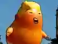 Trump Flying Adventure Trump Flying Adventure