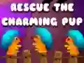 Rescue The Charming Pup Rescue The Charming Pup