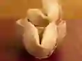 Fortune Cookies Fortune Cookies