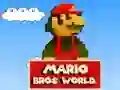 Mario Bros World Mario Bros World