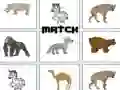Match Match