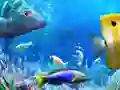 Let's Fish Let's Fish