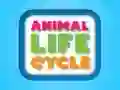 Animal Life Cycle Animal Life Cycle