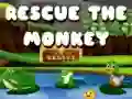 Rescue The Monkey Rescue The Monkey