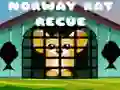 Norway Rat Rescue Norway Rat Rescue
