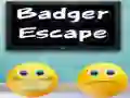 Badger Escape Badger Escape