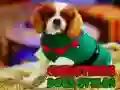Christmas Dogs Styles Christmas Dogs Styles